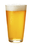 beer pint blonde